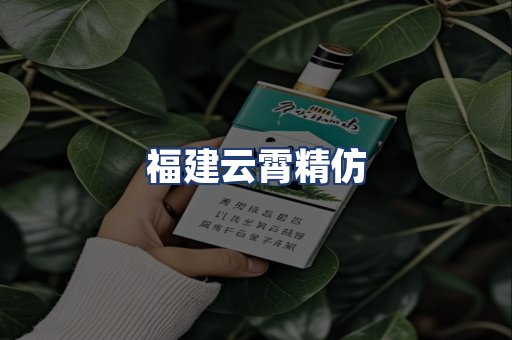 福建云霄精仿